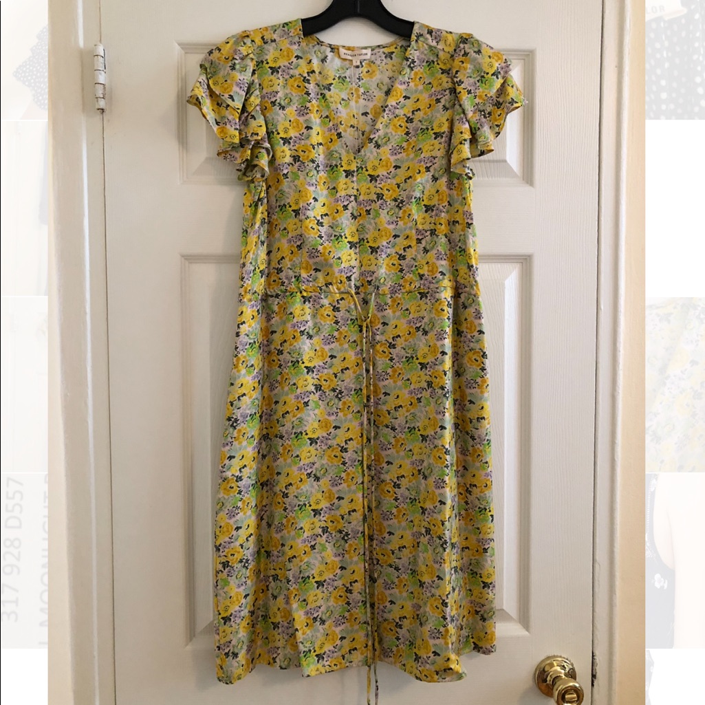 Nwt Rebecca Taylor Moonlight Dress